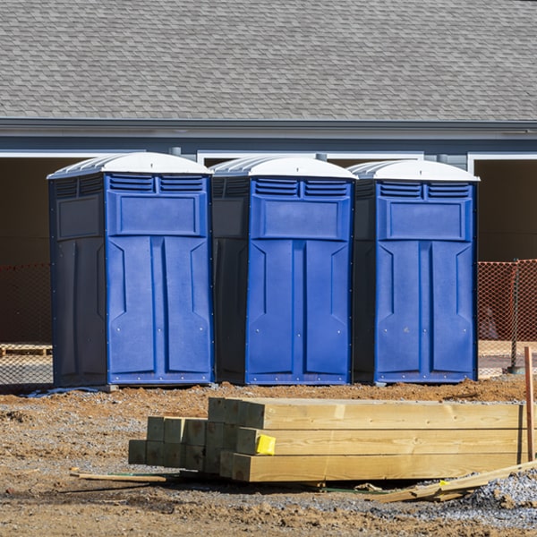 are there different sizes of portable toilets available for rent in Fallsburg New York